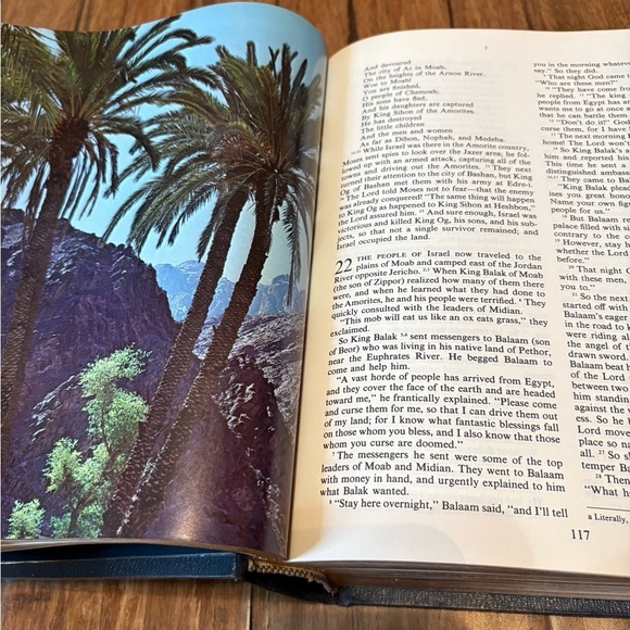 The Living Bible Tyndale 1973 Leather Paraphrased & Illustrated - Picture 15 of 16